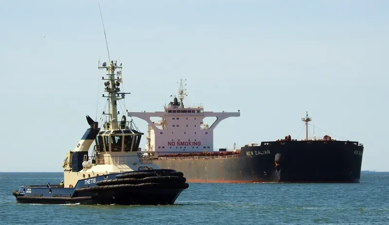ORION I Bulk Carrier IMO 9582831 photo 9