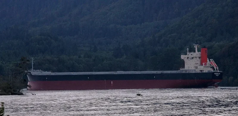PRECIOUS SKY Bulk Carrier IMO 9582946 photo 6