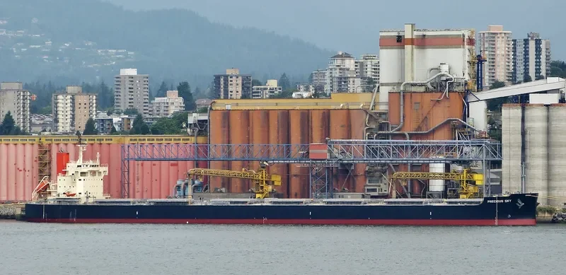PRECIOUS SKY Bulk Carrier IMO 9582946 photo 7