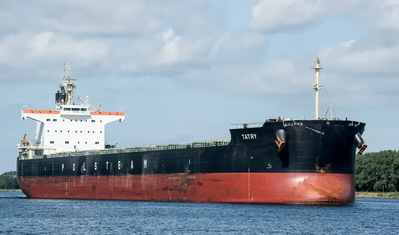 TATRY Bulk Carrier IMO 9582960 photo 9