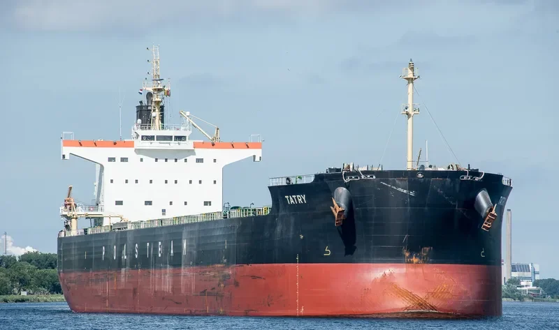 TATRY Bulk Carrier IMO 9582960 photo 10