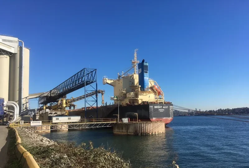 BRIGHT WIND Bulk Carrier IMO 9582972