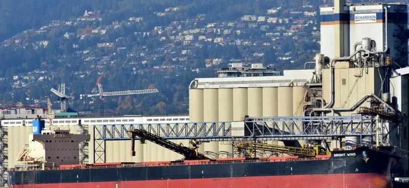 BRIGHT WIND Bulk Carrier IMO 9582972 photo 2
