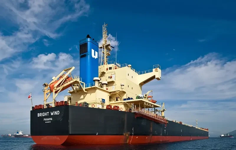 BRIGHT WIND Bulk Carrier IMO 9582972 photo 6