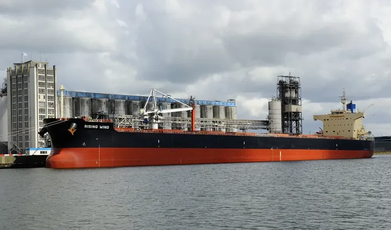 RISING WIND Bulk Carrier IMO 9582984 photo 2