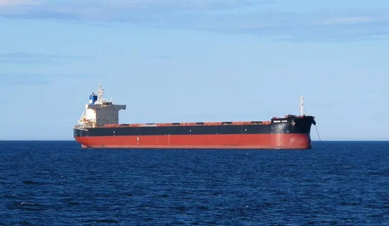 RISING WIND Bulk Carrier IMO 9582984 photo 3