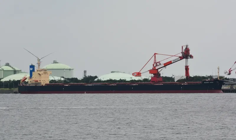 RISING WIND Bulk Carrier IMO 9582984 photo 4