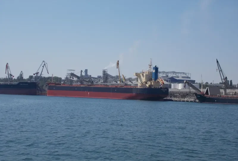 RISING WIND Bulk Carrier IMO 9582984 photo 5