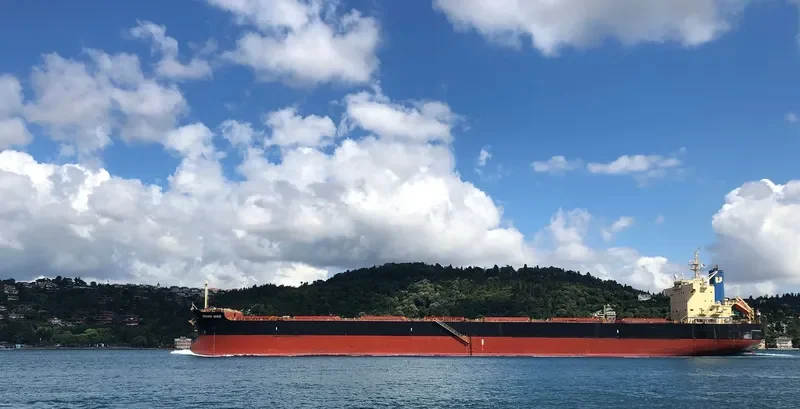 RISING WIND Bulk Carrier IMO 9582984 photo 8