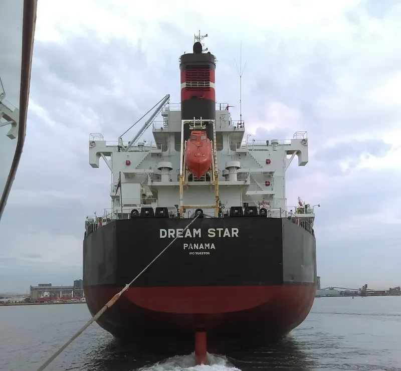DREAM STAR Bulk Carrier IMO 9582996