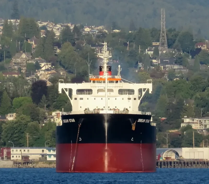 DREAM STAR Bulk Carrier IMO 9582996 photo 4
