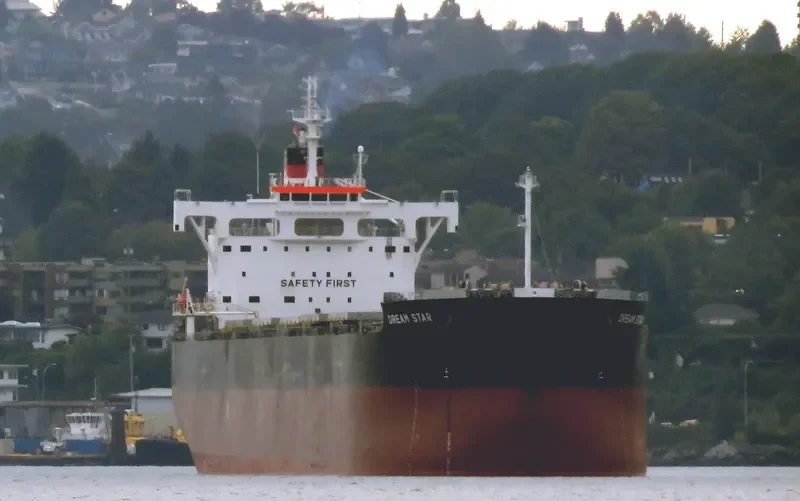 DREAM STAR Bulk Carrier IMO 9582996 photo 6