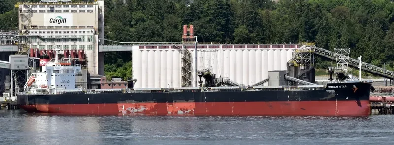 DREAM STAR Bulk Carrier IMO 9582996 photo 7