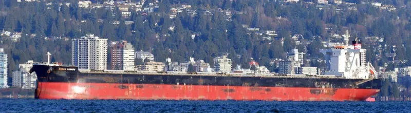 DREAM CANARY Bulk Carrier IMO 9583005 photo 4