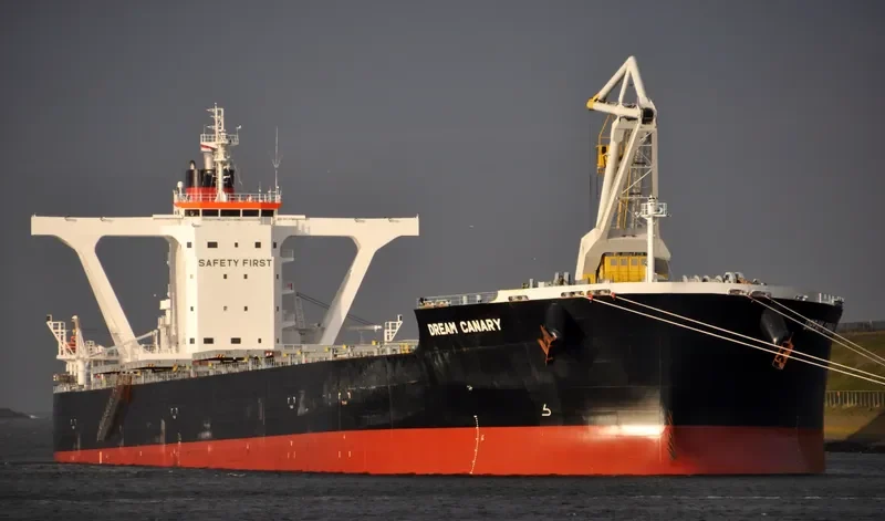 DREAM CANARY Bulk Carrier IMO 9583005 photo 8
