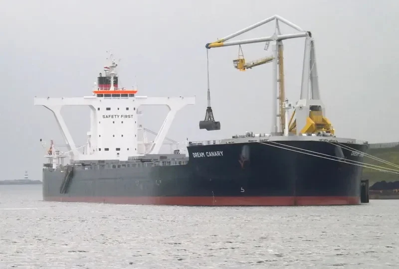 DREAM CANARY Bulk Carrier IMO 9583005 photo 9