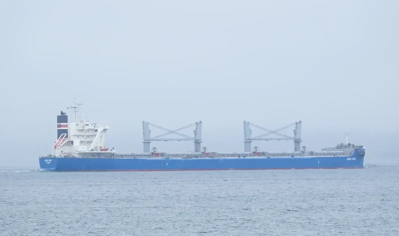 NORD SEAL Bulk Carrier IMO 9583029 photo 4