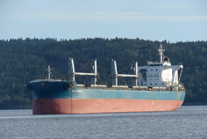 NORD SEAL Bulk Carrier IMO 9583029 photo 10