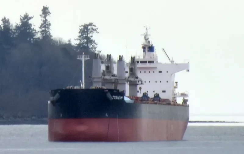 TURICUM Bulk Carrier IMO 9583110 photo 3
