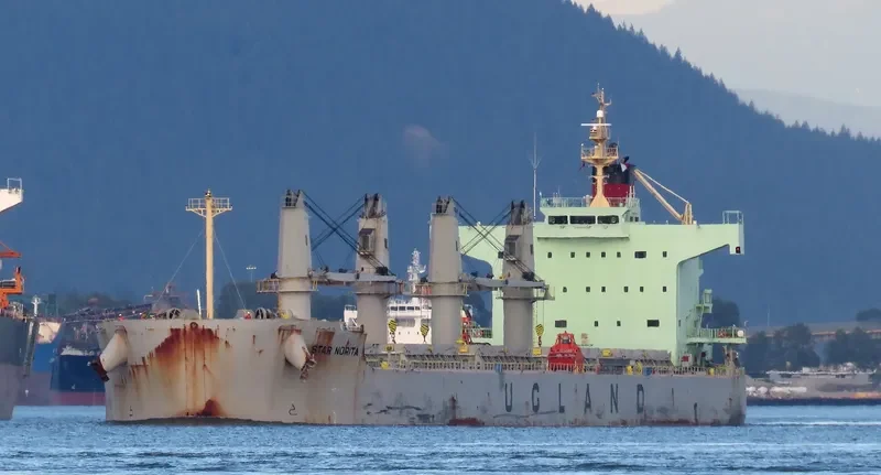 STAR NORITA Bulk Carrier IMO 9583134 photo 2