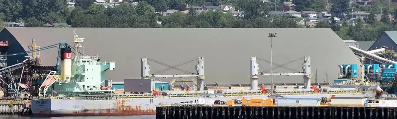 STAR NORITA Bulk Carrier IMO 9583134 photo 3