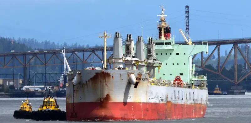 STAR NORITA Bulk Carrier IMO 9583134 photo 6