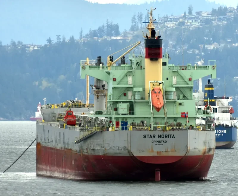 STAR NORITA Bulk Carrier IMO 9583134 photo 9
