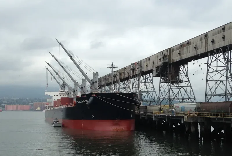 SAGAR MOTI Bulk Carrier IMO 9583146 photo 2