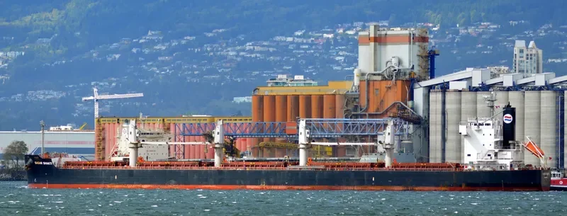 SAGAR MOTI Bulk Carrier IMO 9583146 photo 4