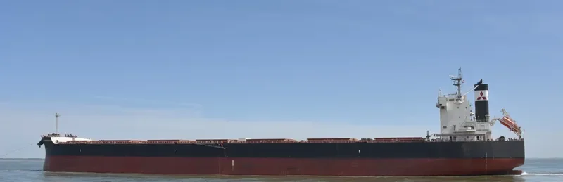 AM CONTRECOEUR Bulk Carrier IMO 9583184 photo 4