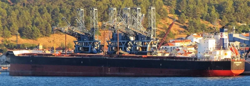 VITAKOSMOS Bulk Carrier IMO 9583225 photo 8