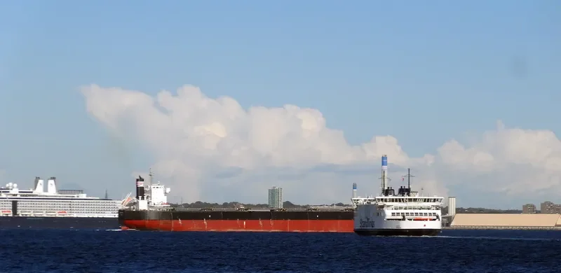PORT STAR Bulk Carrier IMO 9583237 photo 9
