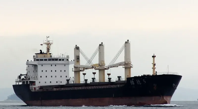 JIN DE 5 Bulk Carrier IMO 9583457 photo 2
