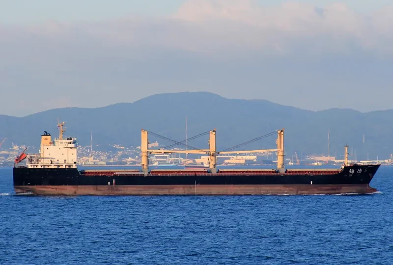 JIN DE 5 Bulk Carrier IMO 9583457 photo 5