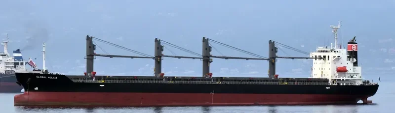 PERTH I Bulk Carrier IMO 9583550 photo 5