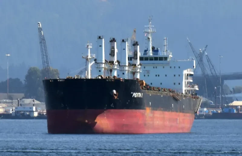 PERTH I Bulk Carrier IMO 9583550 photo 9