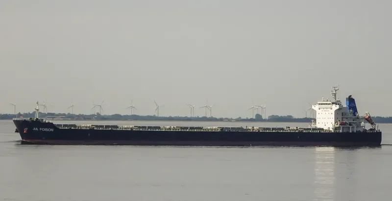 JIA FOISON Bulk Carrier IMO 9583603 photo 2
