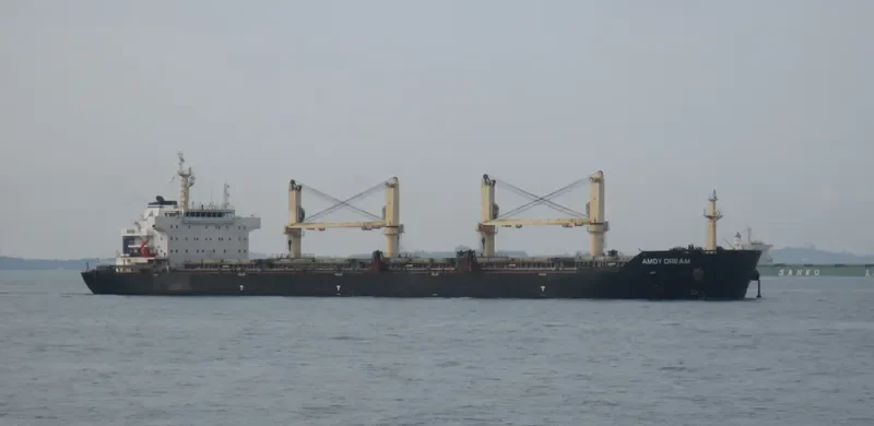 AMOY DREAM Bulk Carrier IMO 9583615