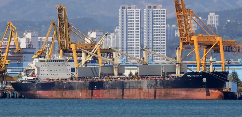AMOY DREAM Bulk Carrier IMO 9583615 photo 7