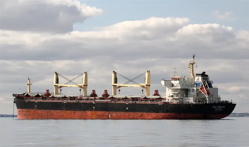 AMOY FORTUNE Bulk Carrier IMO 9583639