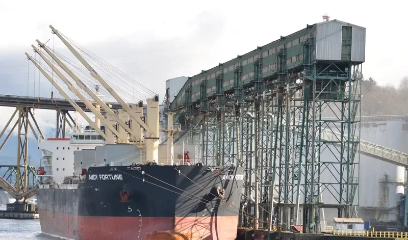 AMOY FORTUNE Bulk Carrier IMO 9583639 photo 6