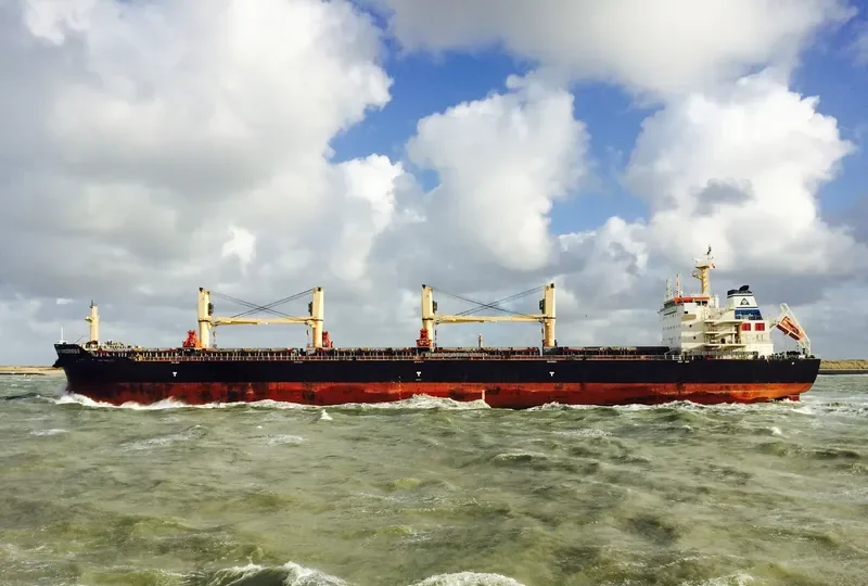 AMOY PROGRESS Bulk Carrier IMO 9583641 photo 3