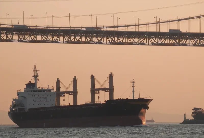 VULLY Bulk Carrier IMO 9583691 photo 4