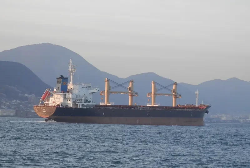 VULLY Bulk Carrier IMO 9583691 photo 6