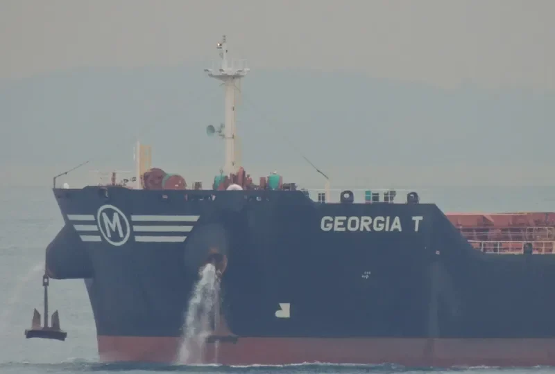 GEORGIA T Bulk Carrier IMO 9583756 photo 6