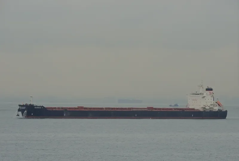 GEORGIA T Bulk Carrier IMO 9583756 photo 7