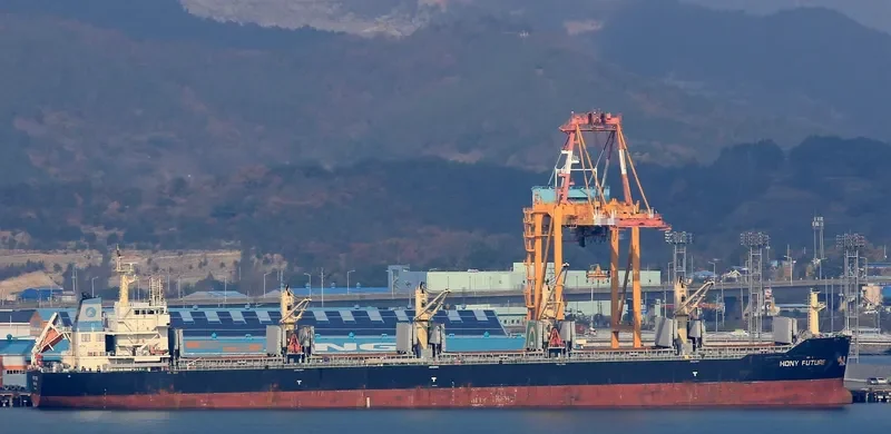 HONY FUTURE Bulk Carrier IMO 9583823