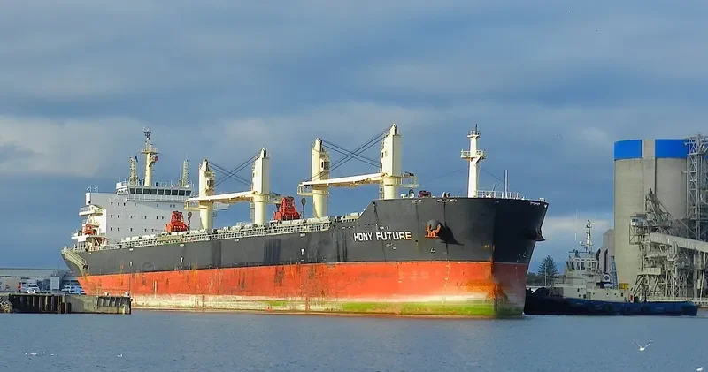 HONY FUTURE Bulk Carrier IMO 9583823 photo 2