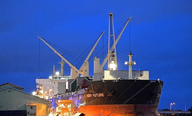 HONY FUTURE Bulk Carrier IMO 9583823 photo 3