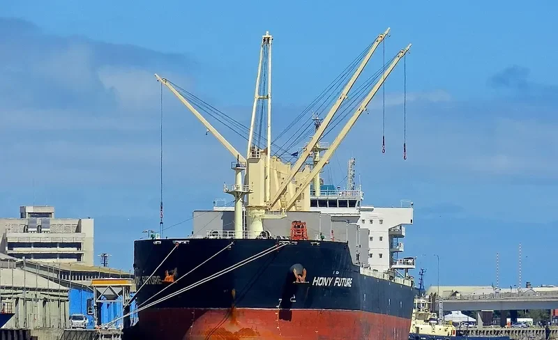 HONY FUTURE Bulk Carrier IMO 9583823 photo 4